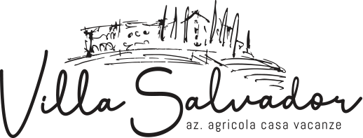 Logo Villa Salvador con payoff